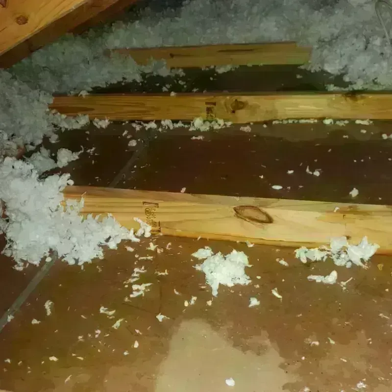 Attic Water Damage in Columbia County, PA