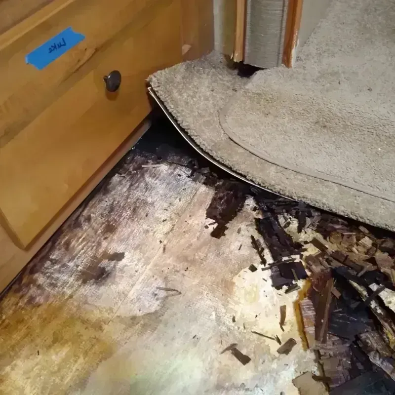 Best Wood Floor Water Damage Service in Columbia County, PA